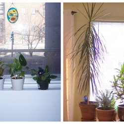 It's better to be a farmer