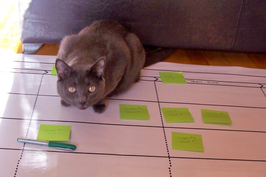 Using the board for scheduling