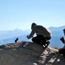 Two men photographing a squirrel at Yosemite