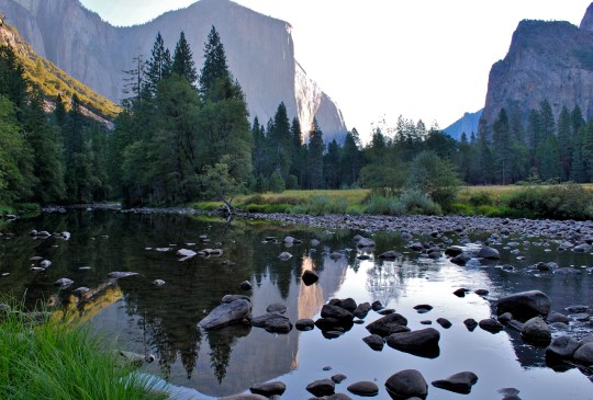 Valley view of El Capitan and Cathedral Rocks