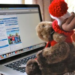 Toy moose working on a laptop computer