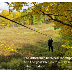 man ziplining through trees in the autumn